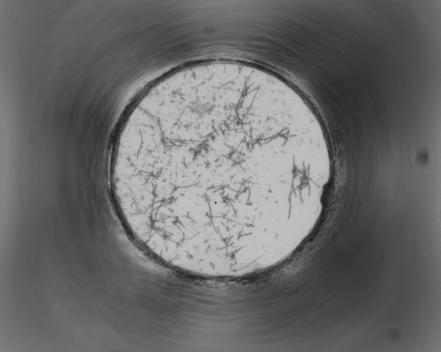 X0000115720987200912241601