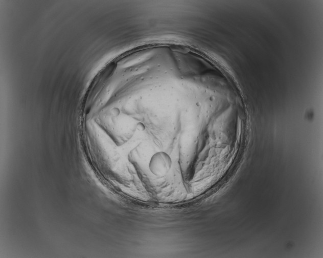 X0000115720989200912241601