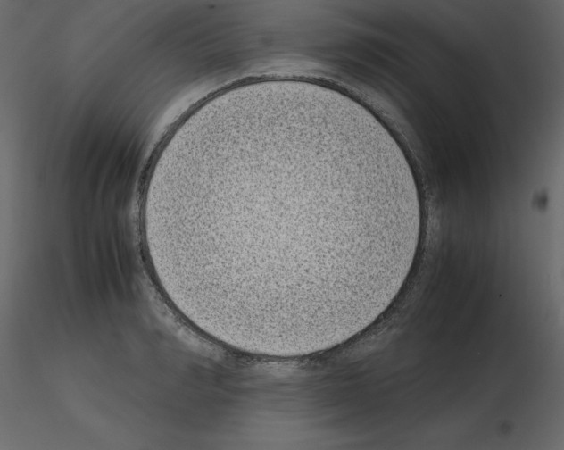 X0000115720990200912241601
