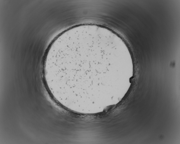 X0000115720991200912241601