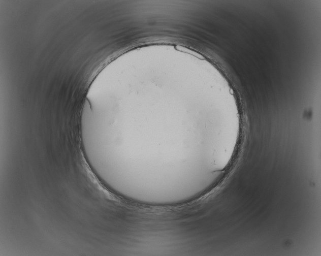 X0000115720993200912241601