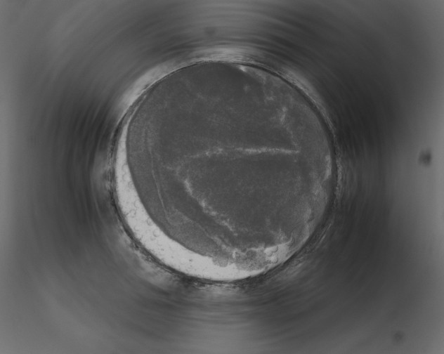 X0000115720994200912241601