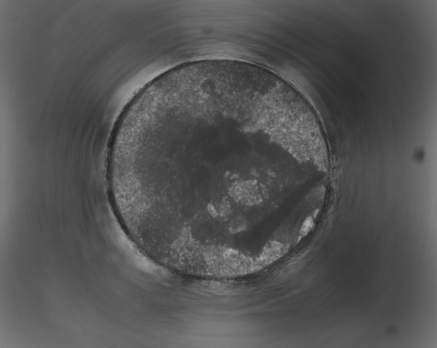 X0000115720995200912241601