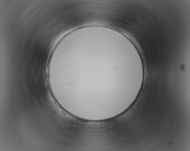 X0000115720996200912241601