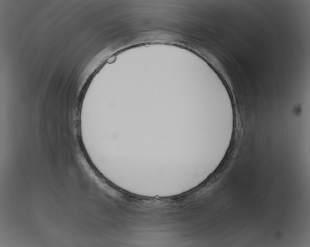X0000115720997200912241601