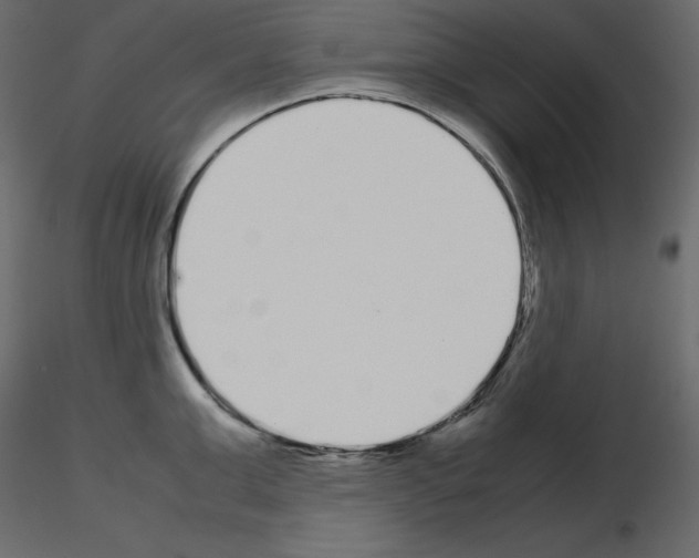 X0000115720999200912241601