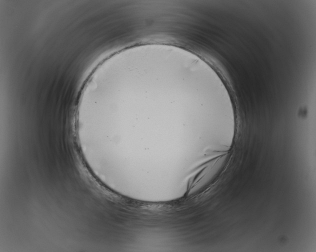X0000115721000200912241601