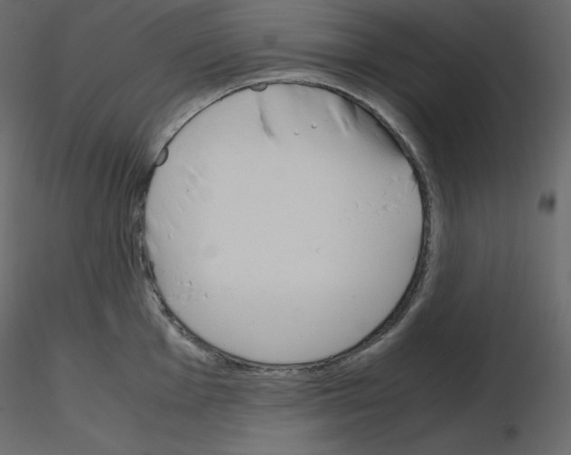 X0000115721001200912241601