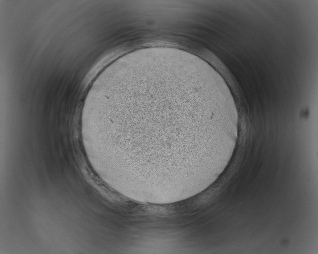 X0000115721002200912241601