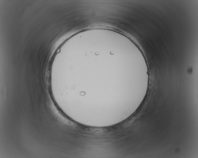 X0000115721003200912241601