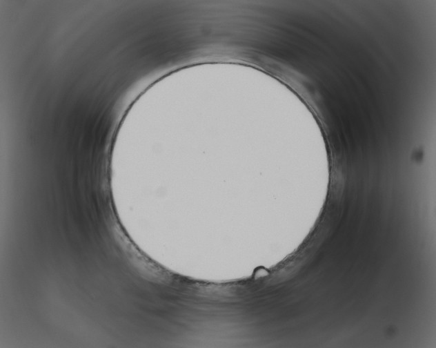 X0000115721004200912241601