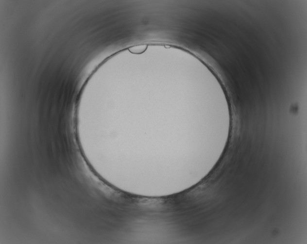 X0000115721006200912241601