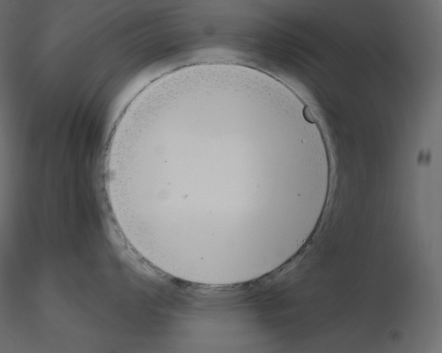 X0000115721008200912241601
