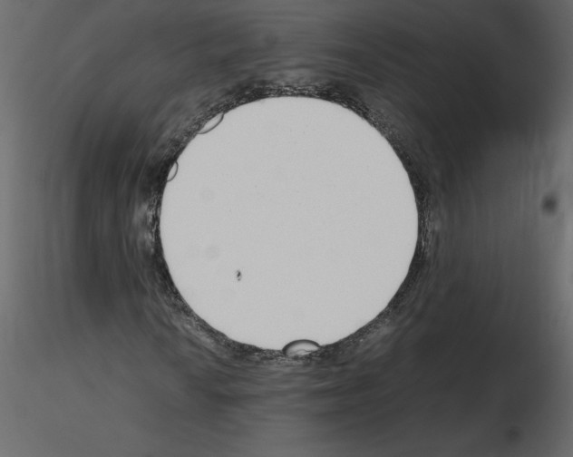 X0000115721010200912241600