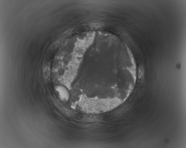 X0000115721011200912241600