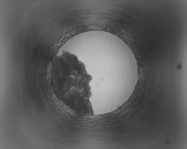 X0000115721012200912241600