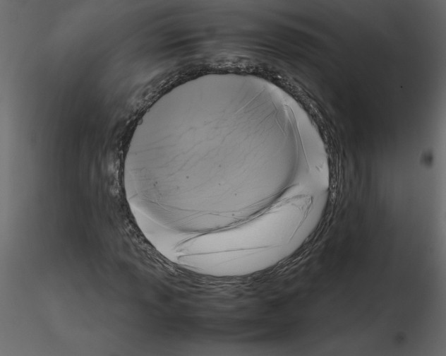 X0000115721013200912241600
