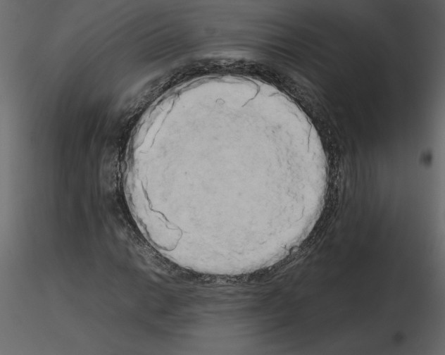 X0000115721014200912241600