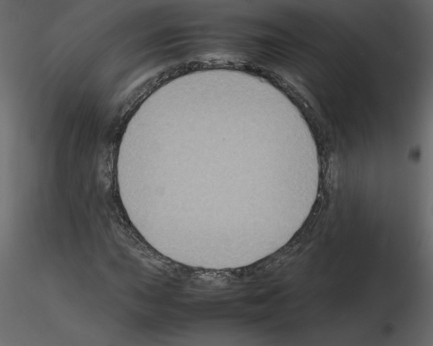 X0000115721015200912241600