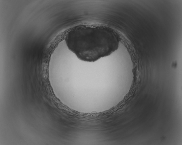 X0000115721016200912241600