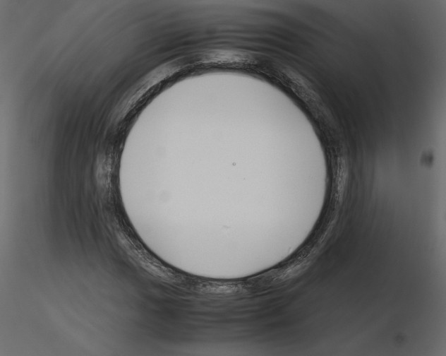 X0000115721017200912241600