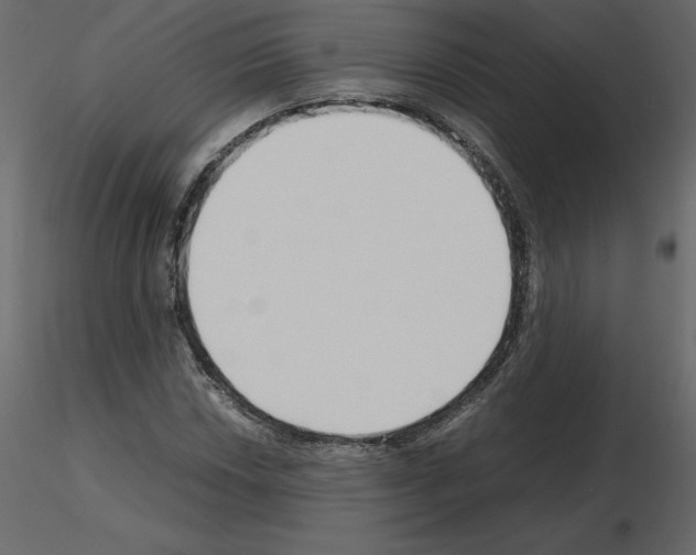 X0000115721018200912241600