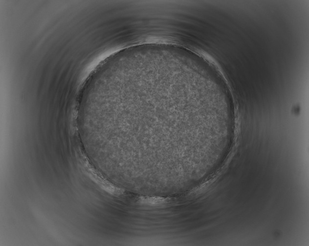 X0000115721019200912241600