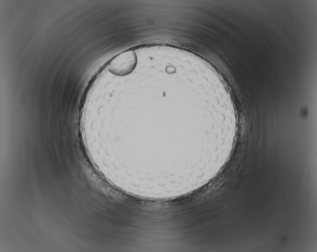 X0000115721020200912241600