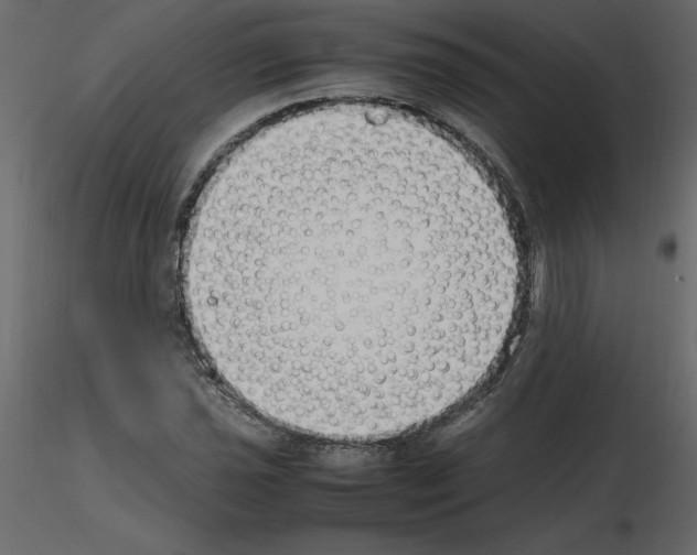 X0000115721021200912241600