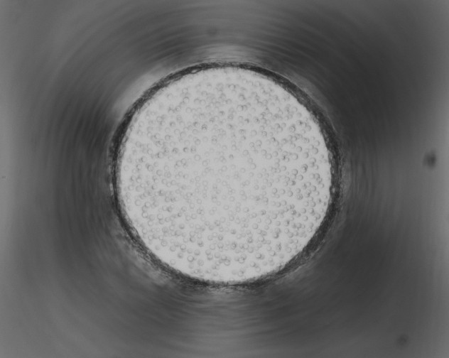 X0000115721022200912241600