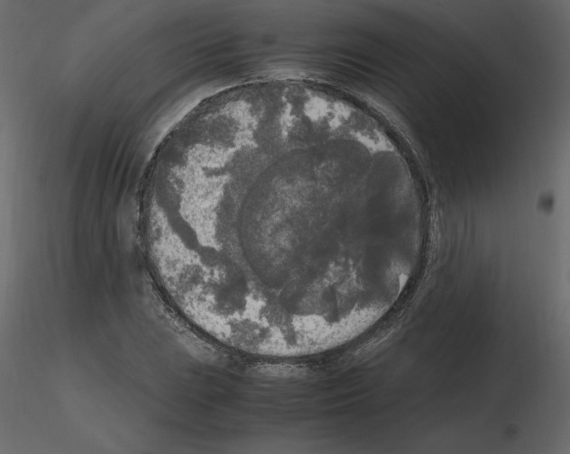 X0000115721023200912241600