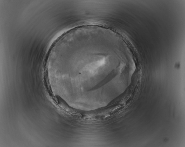 X0000115721024200912241600