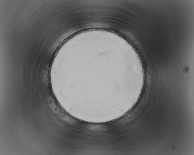 X0000115721025200912241600