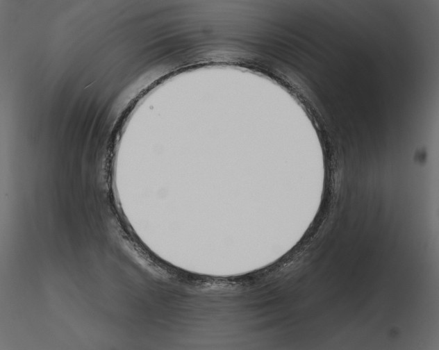 X0000115721026200912241600