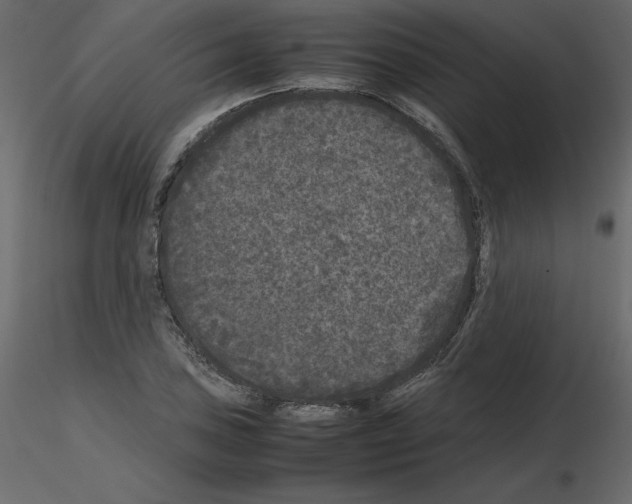 X0000115721027200912241600
