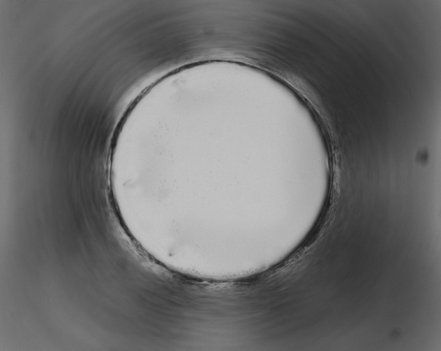 X0000115721028200912241600