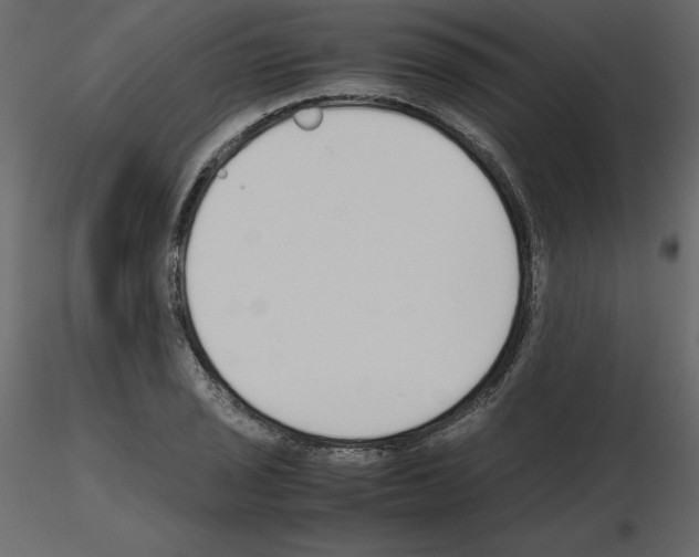 X0000115721029200912241600