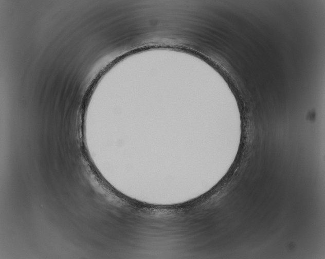 X0000115721030200912241600