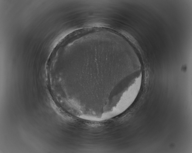 X0000115721031200912241600