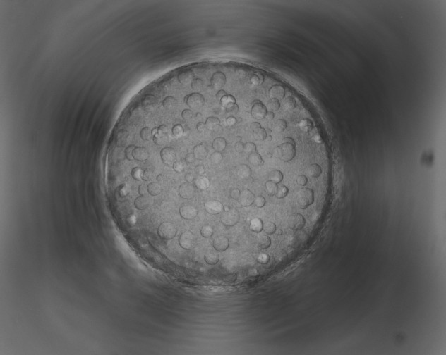 X0000115721032200912241600