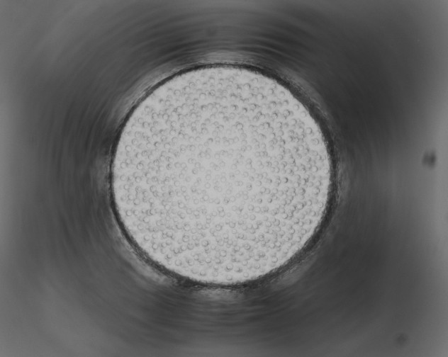 X0000115721033200912241600