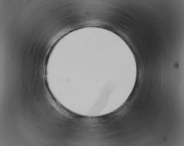 X0000115721034200912241600