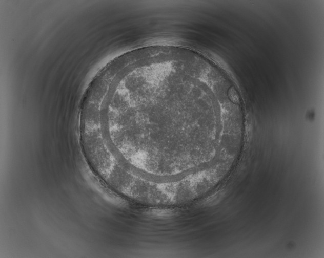 X0000115721035200912241600