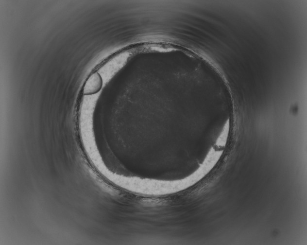 X0000115721037200912241600