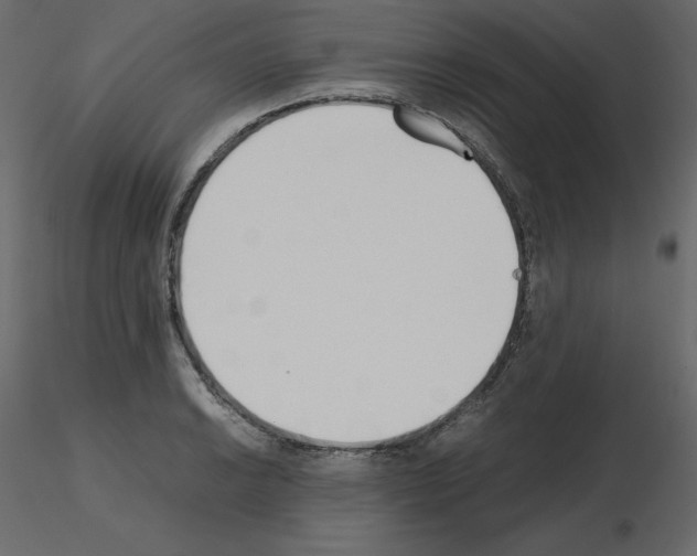 X0000115721038200912241600