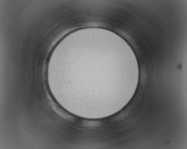 X0000115721039200912241600