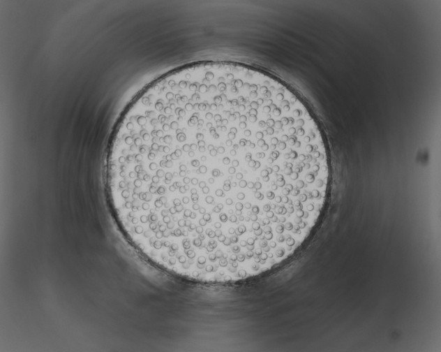 X0000115721040200912241600