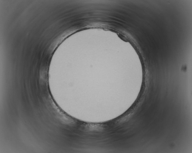 X0000115721041200912241601