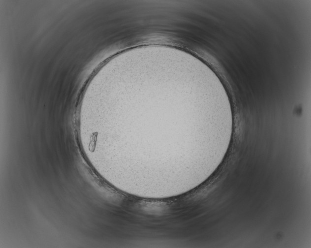 X0000115721043200912241601