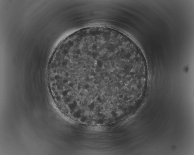 X0000115721045200912241601